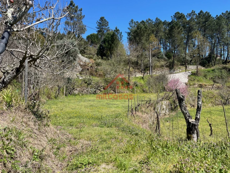 Quinta T2 para Venda em Tabua Foto 27