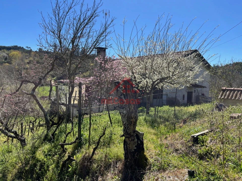 Quinta T2 para Venda em Tabua Foto 28