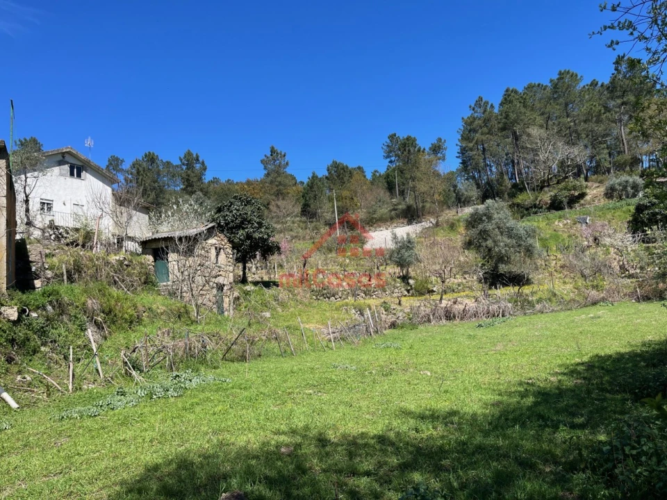 Quinta T2 para Venda em Tabua Foto 35