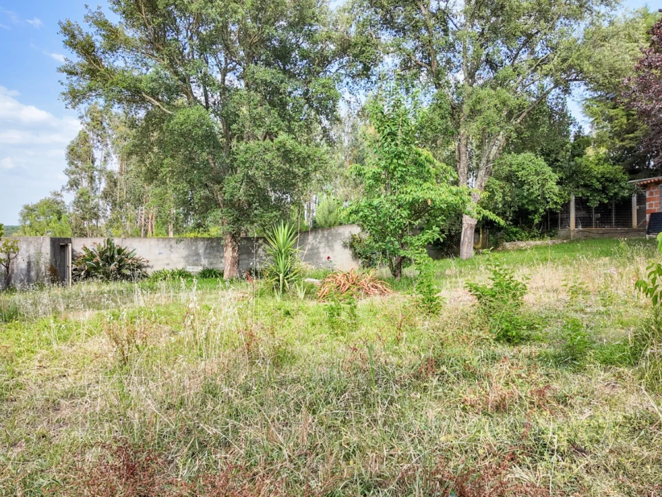Moradia T4 para Venda em Sardoal Foto 31