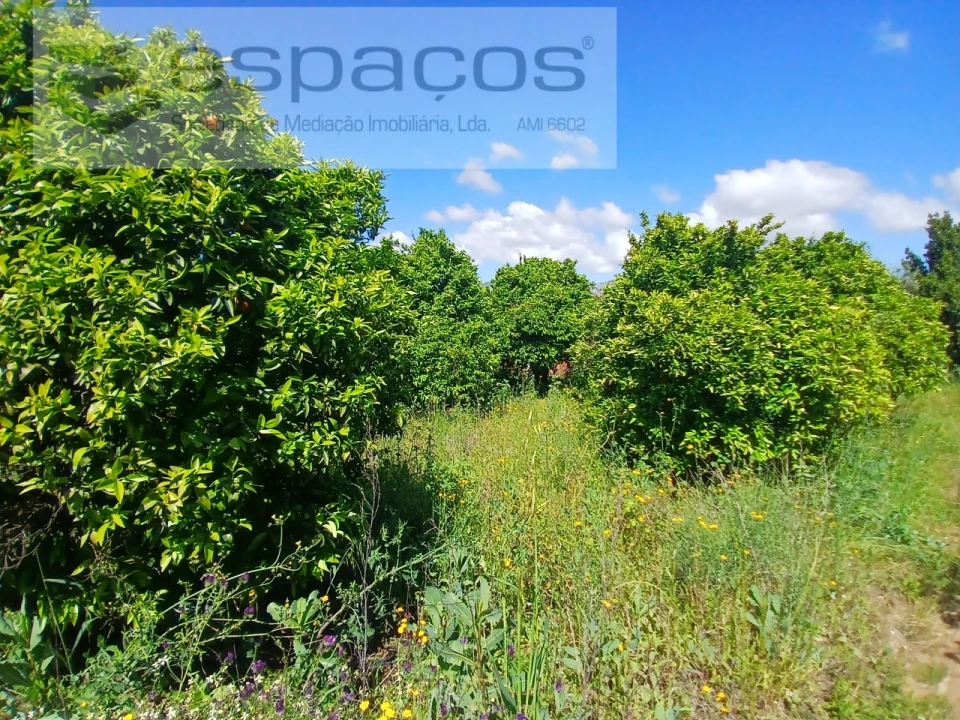 Quinta T1 para Venda em Póvoa de Atalaia e Atalaia do Campo Foto 9