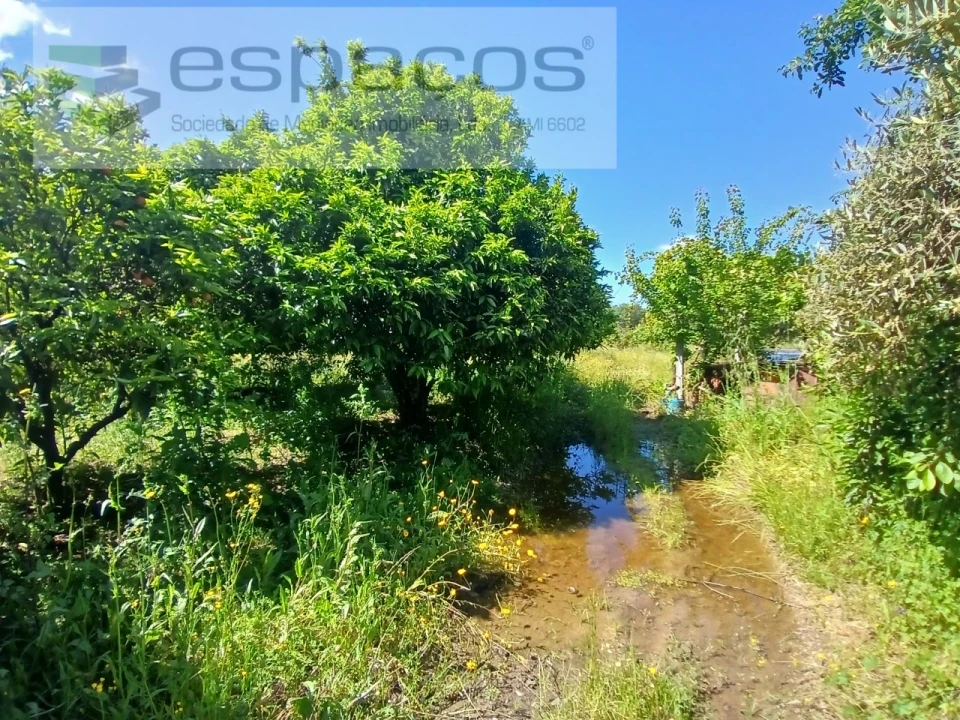 Quinta T1 para Venda em Póvoa de Atalaia e Atalaia do Campo Foto 10
