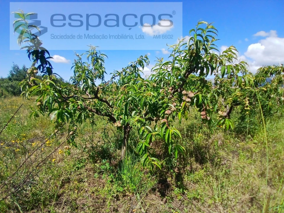 Quinta T1 para Venda em Póvoa de Atalaia e Atalaia do Campo Foto 16