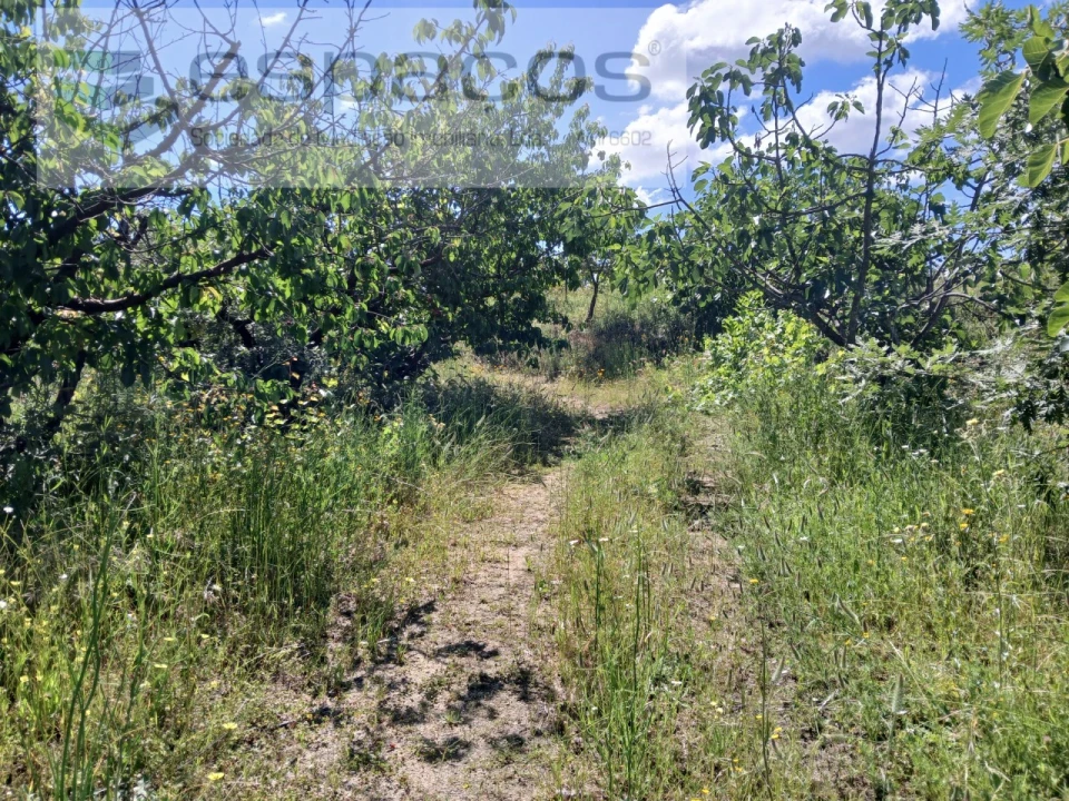 Quinta T1 para Venda em Póvoa de Atalaia e Atalaia do Campo Foto 20