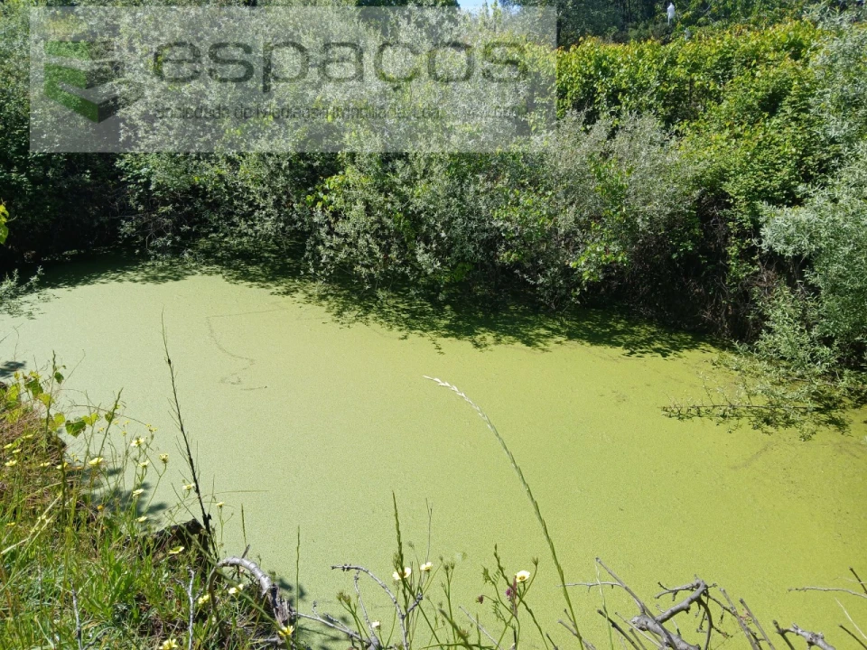 Quinta T1 para Venda em Póvoa de Atalaia e Atalaia do Campo Foto 22