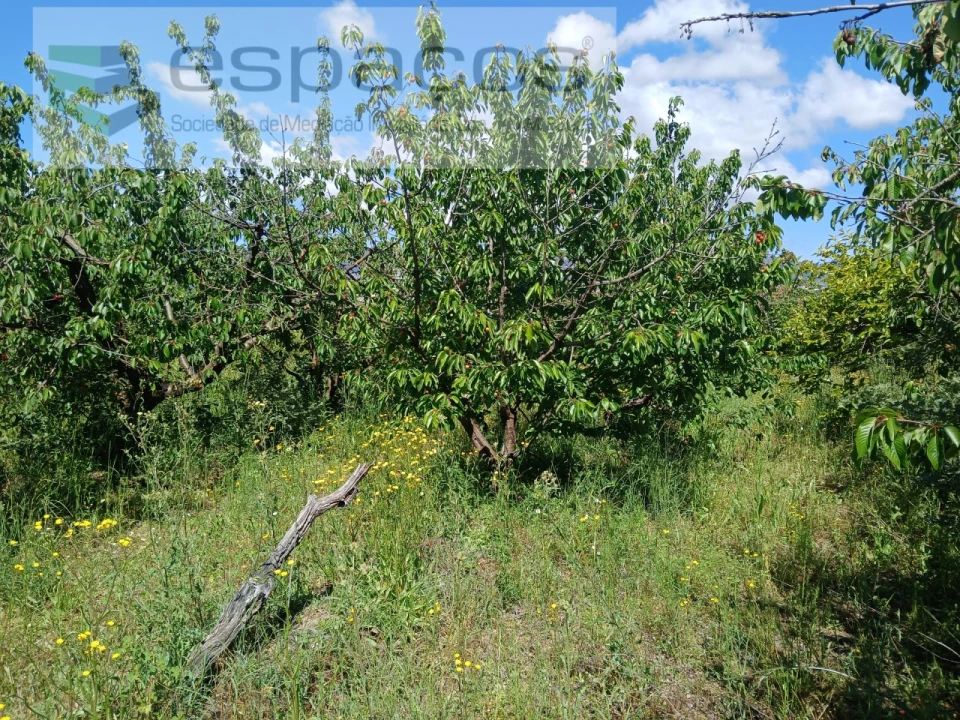 Quinta T1 para Venda em Póvoa de Atalaia e Atalaia do Campo Foto 24