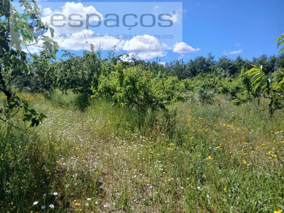 Quinta T1 para Venda em Póvoa de Atalaia e Atalaia do Campo Foto 26