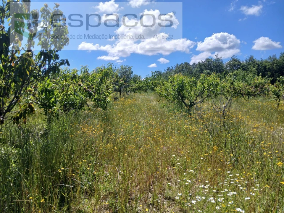 Quinta T1 para Venda em Póvoa de Atalaia e Atalaia do Campo Foto 27
