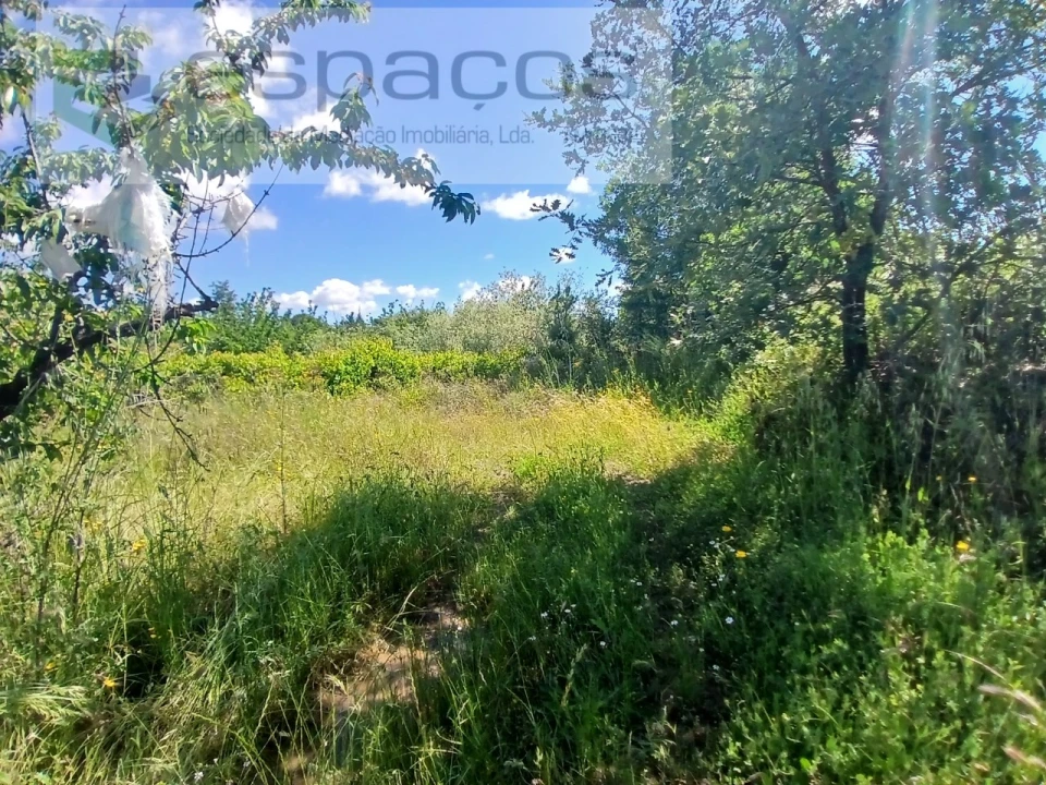Quinta T1 para Venda em Póvoa de Atalaia e Atalaia do Campo Foto 29