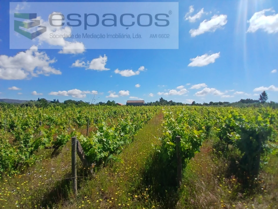 Quinta T1 para Venda em Póvoa de Atalaia e Atalaia do Campo Foto 30