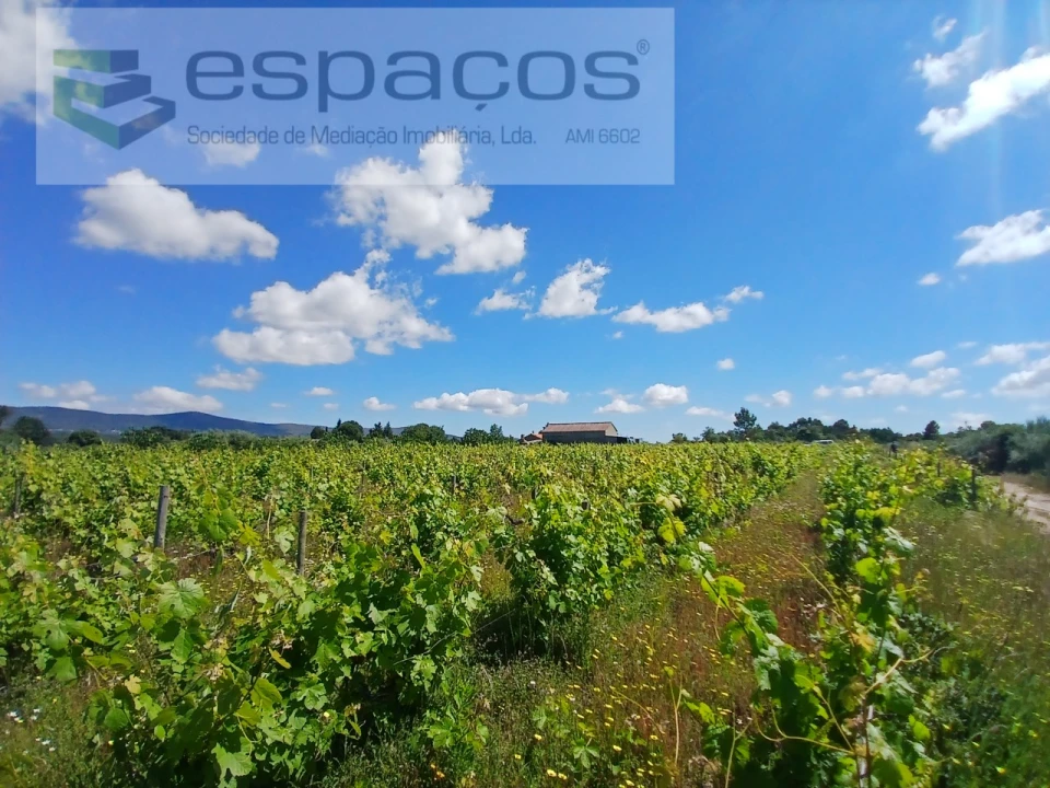 Quinta T1 para Venda em Póvoa de Atalaia e Atalaia do Campo Foto 5