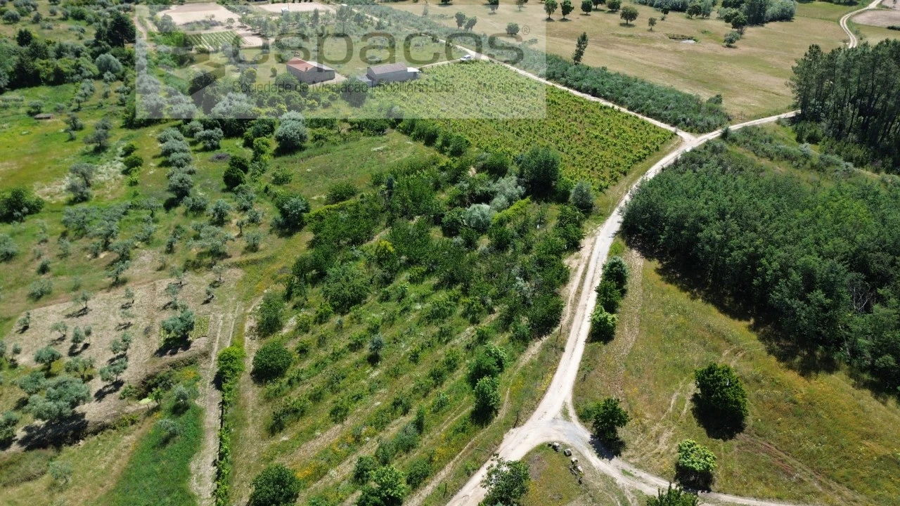 Quinta T1 para Venda em Póvoa de Atalaia e Atalaia do Campo Foto 37