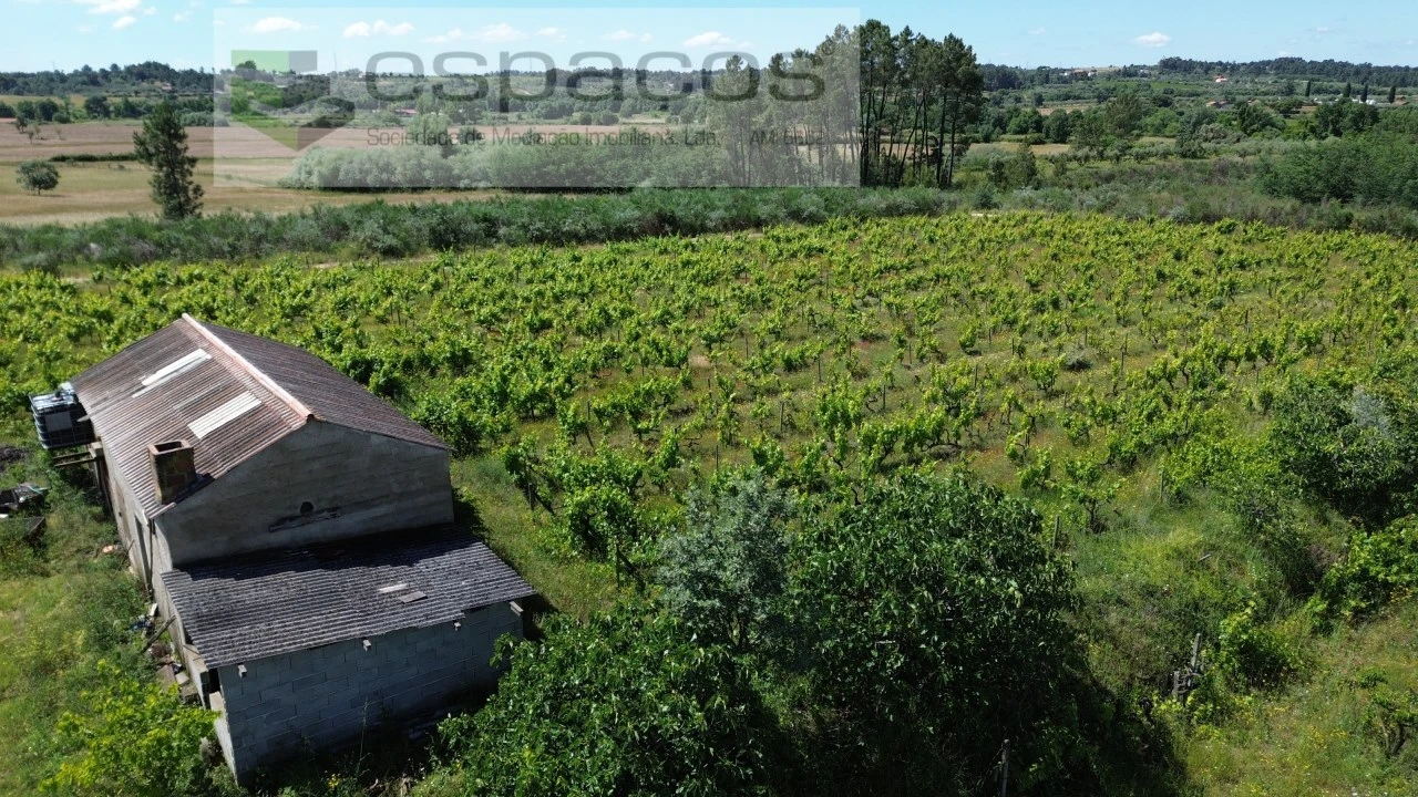 Quinta T1 para Venda em Póvoa de Atalaia e Atalaia do Campo Foto 1
