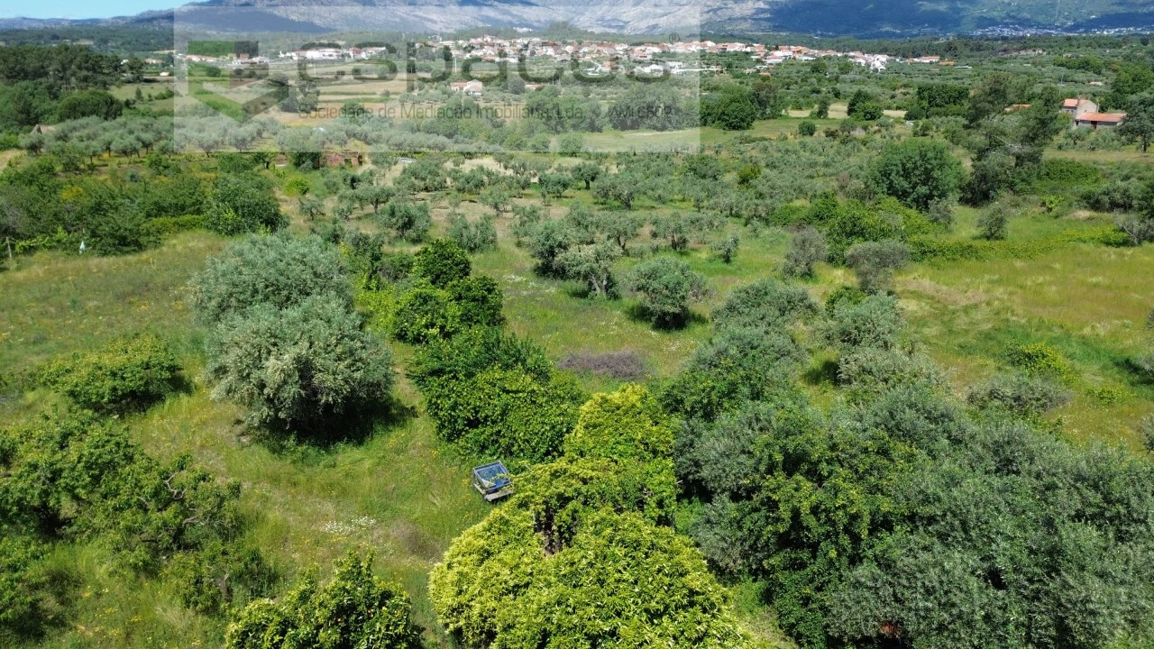 Quinta T1 para Venda em Póvoa de Atalaia e Atalaia do Campo Foto 40