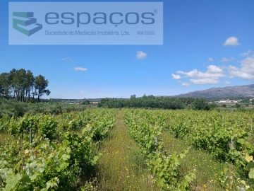 Quinta T1 para Venda em Póvoa de Atalaia e Atalaia do Campo