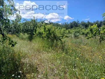 Quinta T1 para Venda em Póvoa de Atalaia e Atalaia do Campo