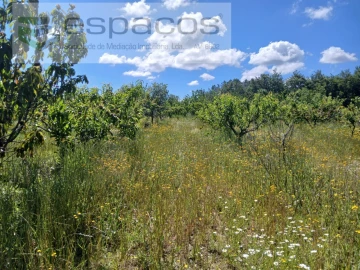 Quinta T1 para Venda em Póvoa de Atalaia e Atalaia do Campo