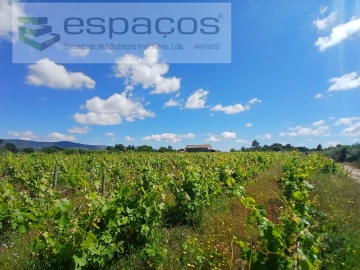 Quinta T1 para Venda em Póvoa de Atalaia e Atalaia do Campo