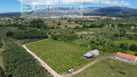 Quinta T1 para Venda em Póvoa de Atalaia e Atalaia do Campo