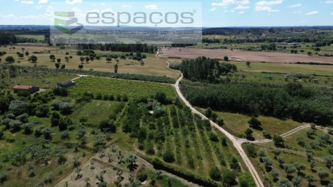 Quinta T1 para Venda em Póvoa de Atalaia e Atalaia do Campo