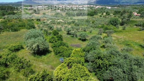 Quinta T1 para Venda em Póvoa de Atalaia e Atalaia do Campo