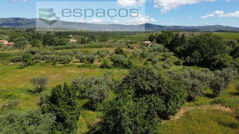 Quinta T1 para Venda em Póvoa de Atalaia e Atalaia do Campo