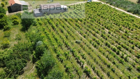 Quinta T1 para Venda em Póvoa de Atalaia e Atalaia do Campo