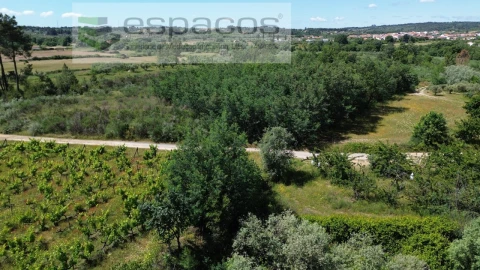 Quinta T1 para Venda em Póvoa de Atalaia e Atalaia do Campo