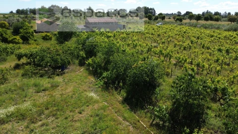 Quinta T1 para Venda em Póvoa de Atalaia e Atalaia do Campo
