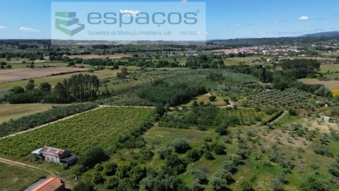 Quinta T1 para Venda em Póvoa de Atalaia e Atalaia do Campo