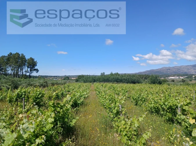Quinta T1 para Venda em Póvoa de Atalaia e Atalaia do Campo Foto 6