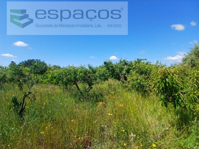 Quinta T1 para Venda em Póvoa de Atalaia e Atalaia do Campo Foto 13