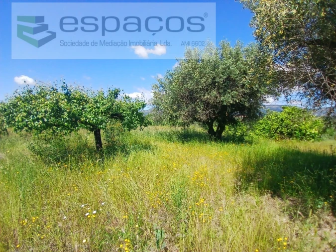 Quinta T1 para Venda em Póvoa de Atalaia e Atalaia do Campo Foto 15