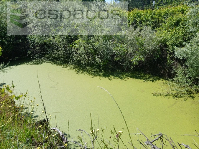 Quinta T1 para Venda em Póvoa de Atalaia e Atalaia do Campo Foto 22