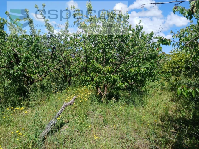 Quinta T1 para Venda em Póvoa de Atalaia e Atalaia do Campo Foto 24