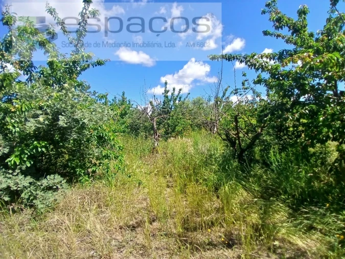 Quinta T1 para Venda em Póvoa de Atalaia e Atalaia do Campo Foto 28