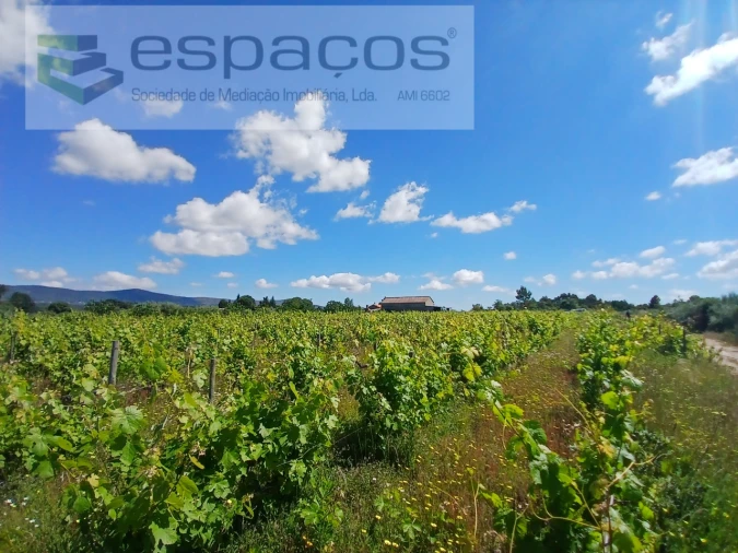 Quinta T1 para Venda em Póvoa de Atalaia e Atalaia do Campo Foto 5