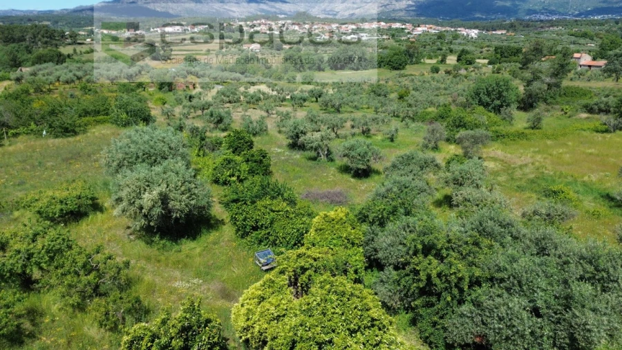 Quinta T1 para Venda em Póvoa de Atalaia e Atalaia do Campo Foto 40
