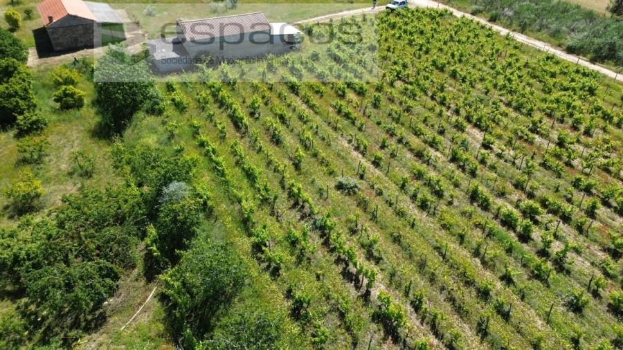 Quinta T1 para Venda em Póvoa de Atalaia e Atalaia do Campo Foto 47