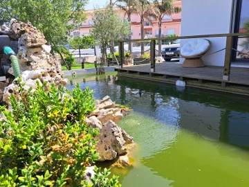Moradia T2 para Venda em Vieira de Leiria