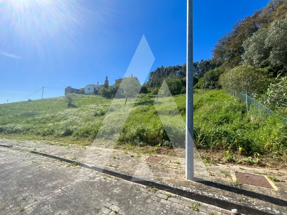 Terreno para Venda em Santa Clara e Castelo Viegas Foto 8