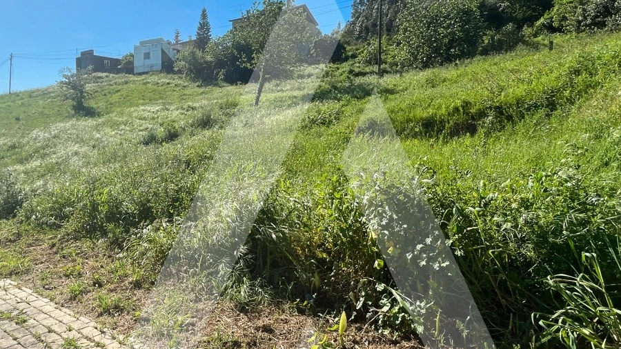 Terreno para Venda em Santa Clara e Castelo Viegas