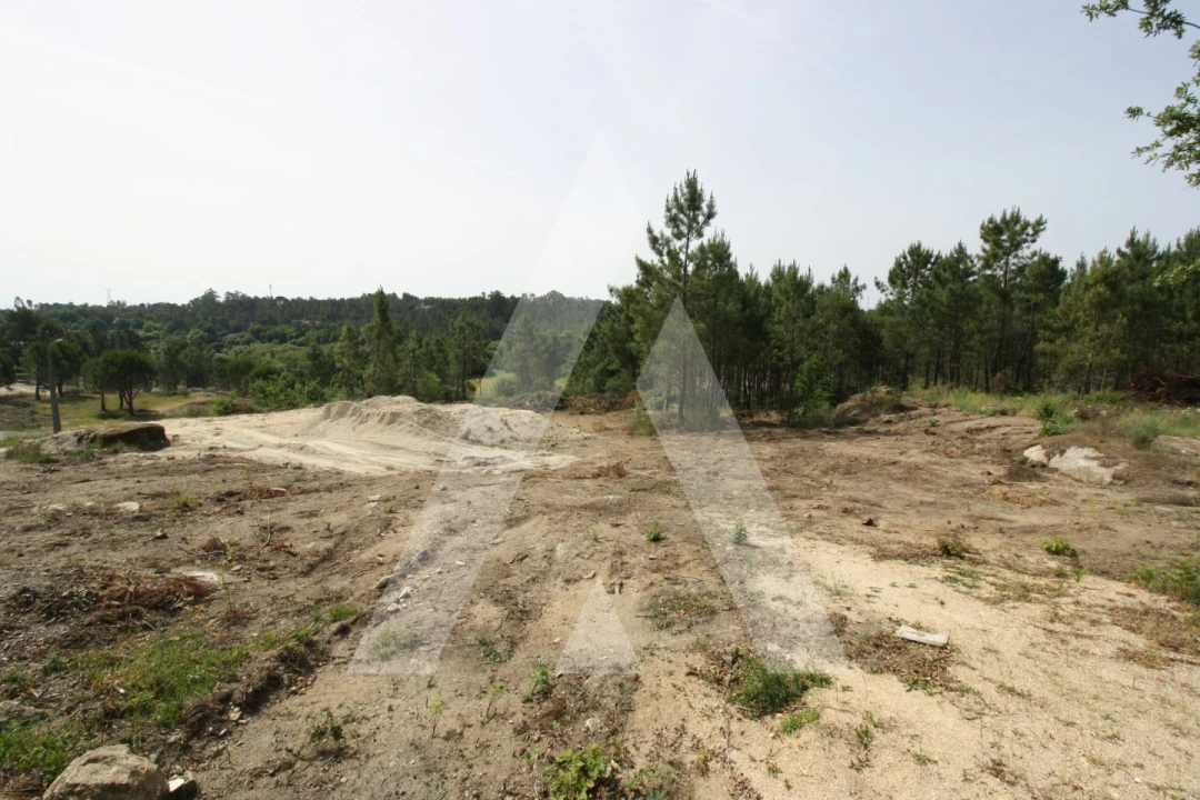 Terreno para Venda em Repeses e São Salvador Foto 12