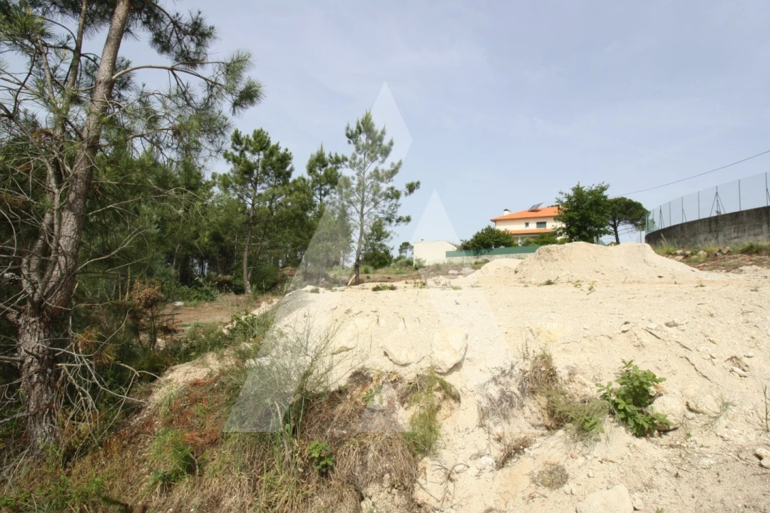 Terreno para Venda em Repeses e São Salvador Foto 16