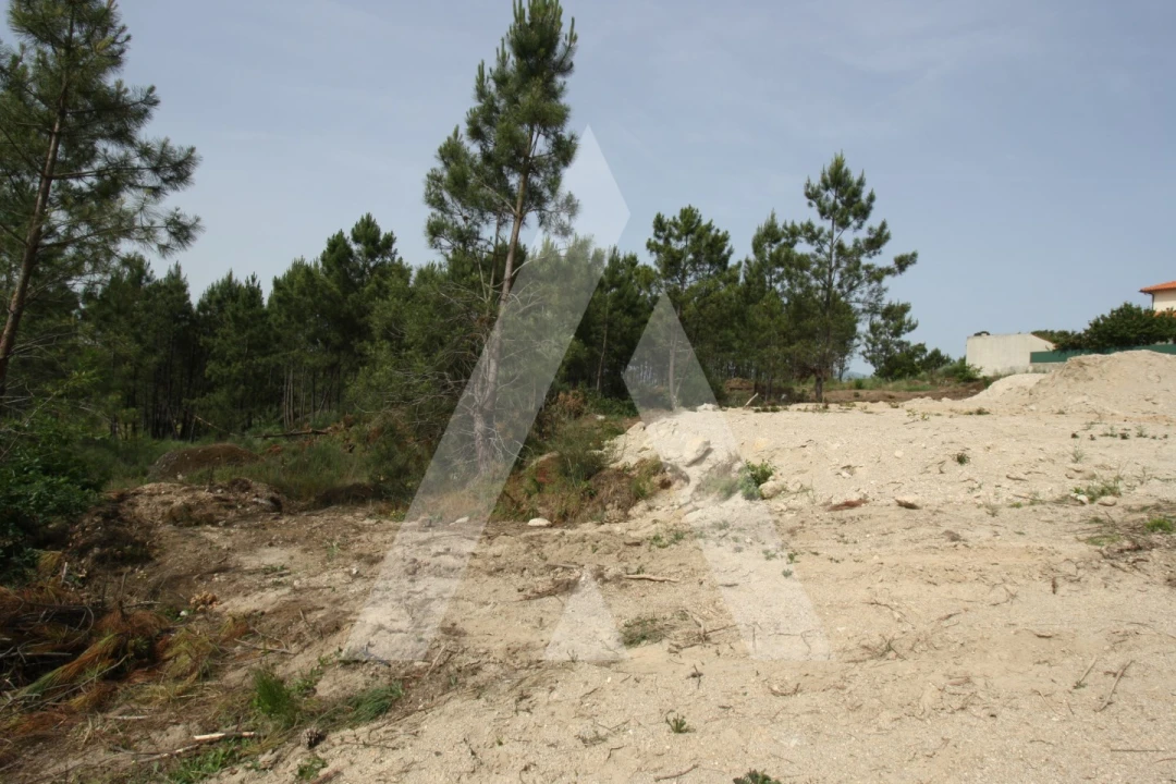 Terreno para Venda em Repeses e São Salvador Foto 17