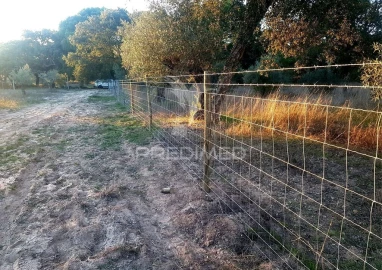 Terreno para Venda em Torrão