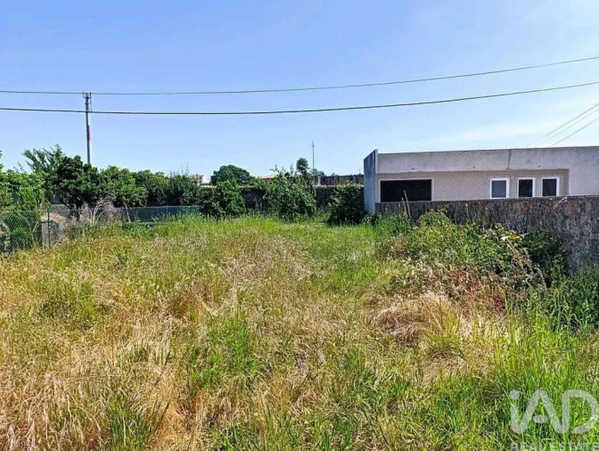 Terreno para Venda em Póvoa de Varzim, Beiriz e Argivai Foto 6