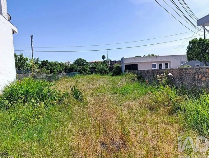 Terreno para Venda em Póvoa de Varzim, Beiriz e Argivai Foto 8