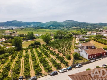 Moradia T3 para Venda em Lamas e Cercal