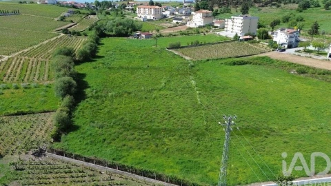 Terreno para Venda em Alijo